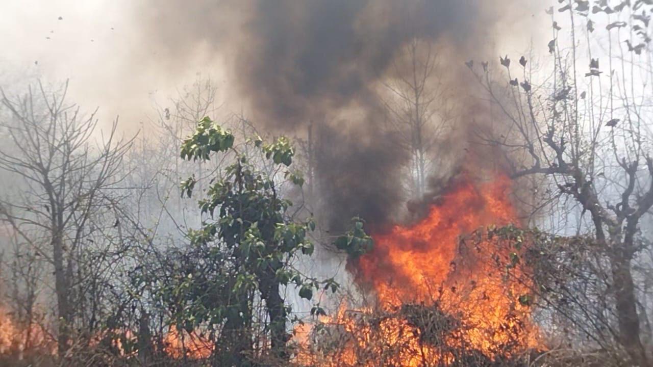 महालक्ष्मी यात्रेदरम्यान डोंगराला आग – वनसंपत्तीचे नुकसान, भाविकांच्या सुरक्षेचा गंभीर मुद्दा