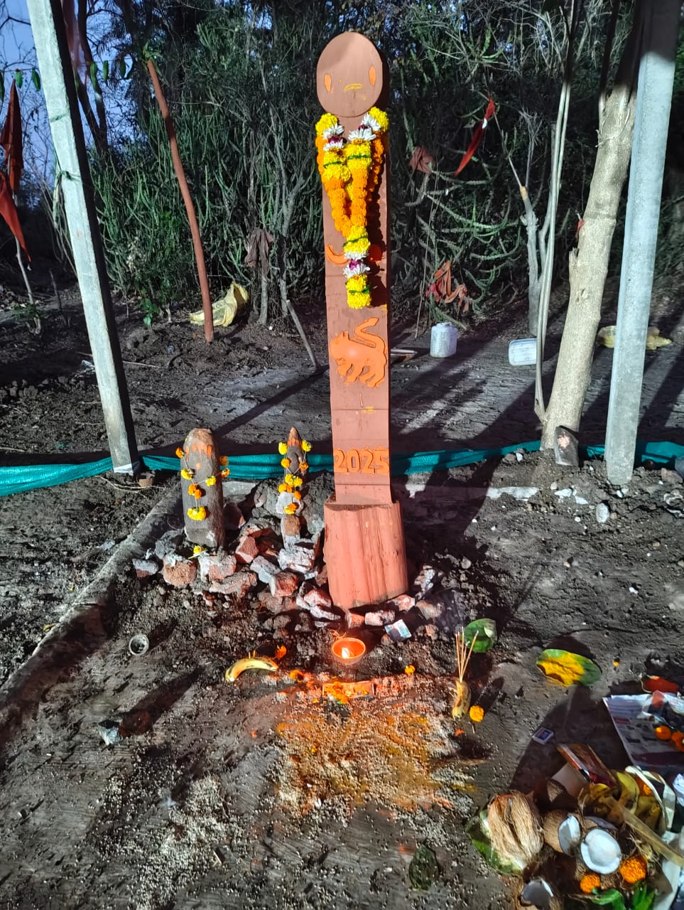 पळे गावात पारंपरिक वाघोबा देव नवपरीवर्तन सोहळा उत्साहात संपन्न: आदिवासी परंपरेचा भव्य सांस्कृतिक आविष्कार