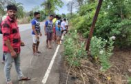 आसवे पाटीलपाड्यात वादळात झाड कोसळून वीज खंडित; ग्रामस्थांचे श्रमदानातून मार्गमुक्ती
